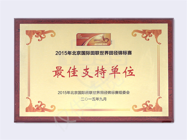 2015國際田聯(lián)世錦賽最佳支持單位
