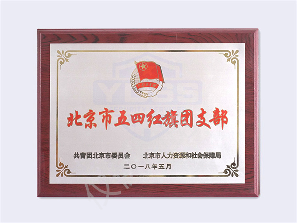 2018北京五四紅旗團(tuán)支部
