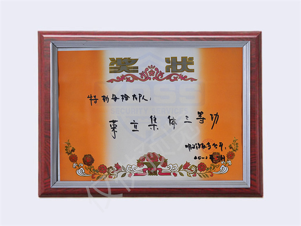 北京銀盾保安服務(wù)有限公司榮獲2012特勤安檢大隊(duì)頒發(fā)獎(jiǎng)狀